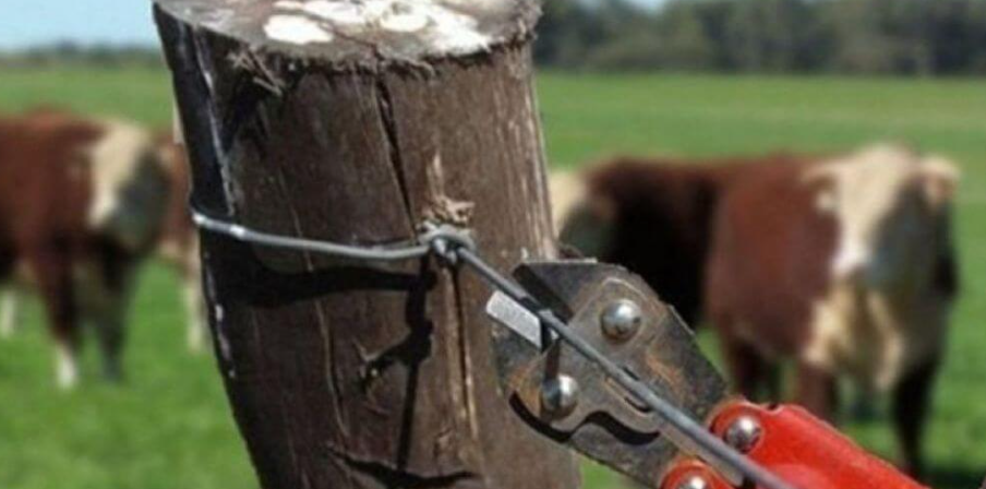 Fuerte reclamo de productores por abigeato: Estamos cansados que nos roben